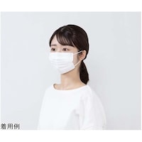 �o�m�|�c�m�h�R�O�r�@�f�C���[�}�X�N