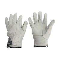 �ؖ{�v��܁i�����}�W�b�N�^�C�v�j�@���e�b