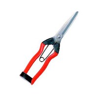 �i�|�R�z�H�X�e�����X���n���Q�O�O����