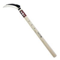 �ᎂ�q�@�A�[�N�����Y�@�A�X�p�����@�V�O�V