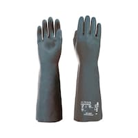 �ώ_�E�σA���J����܁@�J�}�v�����@�P�o�^