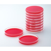 �Q�T�P�P�U�T�@�q�c�W���t���V�|�n�@�Q�O��