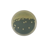 �Q�T�Q�P�O�X�@���V�|�n�@�Q�O��