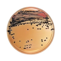 �Q�P�Q�O�W�V�@�a�a�k�c�g�k���V�|�n�Q�O��