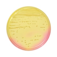 �Q�T�P�P�V�R�}���j�b�g�H�����V�|�n�Q�O��