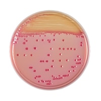 �Q�T�P�P�R�X�@�a�a�k�b�h�m���V�|�n�Q�O��