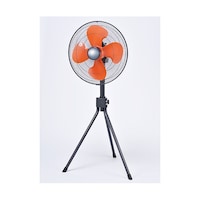 �g�w�|�S�T�O�@�H���@�O�r�X�^���h�^�C�v