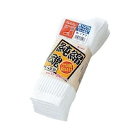 ���ȍ��@��ہ@�T���V�@�P�g�i�T�����j�@�r