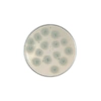 �a�c�@�a�a�k�i�s�l�j�|�e�g�f�L�X�g���[�X