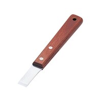 �j�y�P�|�P�T�@�X�e�����X�X�N���[�p�[