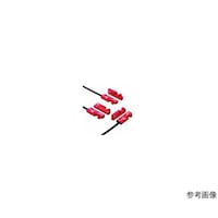 �g�r�V�`�|�c�l�b�V�X�O�T�@���S�X�C�b�`