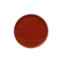 �Q�T�P�P�R�W�@�`���R���[�g���V�|�n�Q�O��