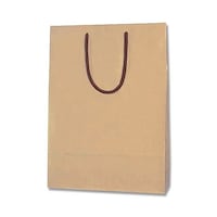 񂰎܁@J[`[obO@Qˁ@Ntg@PO