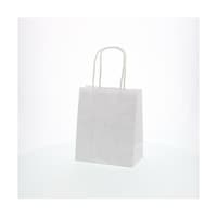 ��񂰎��܁@�Q�T�`���[���o�b�O�@�P�W�|�P�@�N�����n�@�T�O��