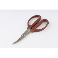 �k�b�|�P�W�O�@�v�؂�͂���