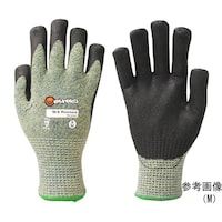 �������������@�˂��h���h�~��܁@�p���N�`