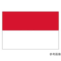 �S�O�U�P�Q�X�@�����@�C���h�l�V�A