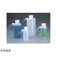 �t�������������@���r�@�T�O�O���k�@�P��