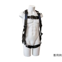 �n�[�l�X�^�ė����~�p���i���x���g�Ȃ��j�@�R�c�@�g�������������@�t�����g�c�t�@�k�k