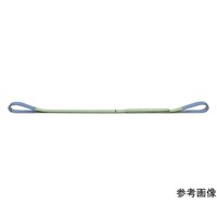 �L�g�[�|���G�X�^�[�X�����O�a�r�g�`�@�P�D