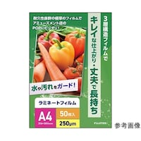 ���~�l�[�g�t�B�����Q�T�O�ʁ@�`�S�T�C�Y�@