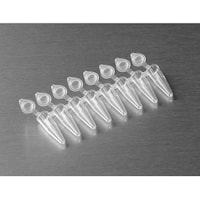 �o�b�q�W�A�`���[�u�O�D�Q���k�@�����@�t��