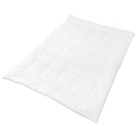 �ӂ���|���ӂƂ�@����@�z���C�g