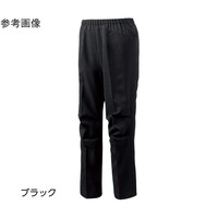 ���E�r���[�e�B�t�H�[�p���c�i�w�l�j�x�[�W