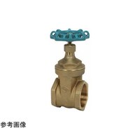 �����@�Q�[�g�i�q�g�|�m�j�Ăьa�P�T����