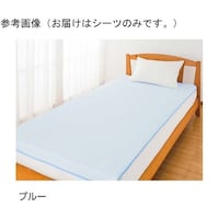 �ȃp�C���h���V�[�c�i�S�ʁj�u���[�@�P�O�T