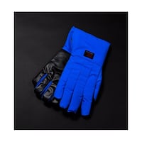 �N���C�I�O���[�u�i�q�j�O���b�v���S�h���u