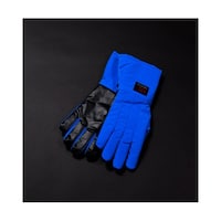 �N���C�I�O���[�u�i�q�j�O���b�v���S�h���u���[�~�b�h�A�[���^�C�v�@�l�@�S���R�S����