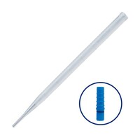 �o�o�f�B�X�|�s�y�b�g�i��p�A�_�v�^�[�P��