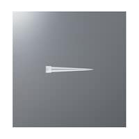 �}�C�N���`�b�v�@�Q�O�O�ʂ��@�T�R�����@�o