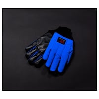 �N���C�I�O���[�u�i�q�j�O���b�v���S�h���u���[���X�g�^�C�v�@�r�@�S���Q�X����