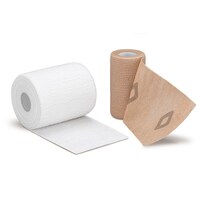 �f���A�v���X�E�e���V�����K�C�h�@�Q�P�R�W