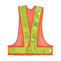 ���ˈ��S�x�X�g�@�I�����W�~���@�e�@���O�R