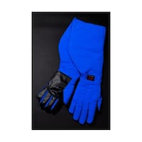 �N���C�I�O���[�u�i�q�j�O���b�v���S�h���u