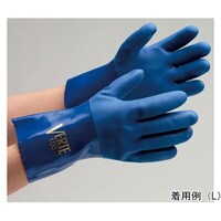 �����r�j�[������܁@�x���e�P�O�O�@�k�k�T