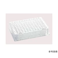 �O�O�R�O�T�O�S�P�P�X�f�B�v�E�F���v���[�g