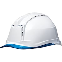 �o�b���w�����b�g�i�v���������������E�N��