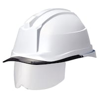 �o�b���w�����b�g�i�v���������������E�N��