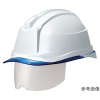 �o�b���w�����b�g�i�v���������������E�N��