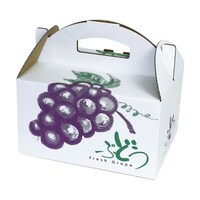 �ʗp�������@�Ԃǂ��̗��@���@��@�T�O