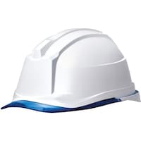 �o�b���w�����b�g�i�v���������������E�N��