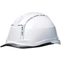 �o�b���w�����b�g�i�v���������������E�N��