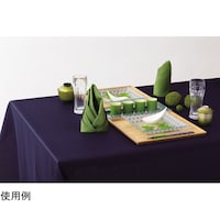 �e�[�u���N���X�@���Q�P�O�����@�~�P�S�T��