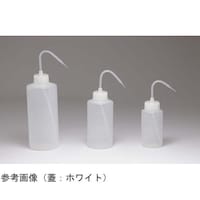 �m�s���r�a�h�h�@�z���C�g�@�T�O�O���k�@�P�P�[�X�i�P�Q�{���j