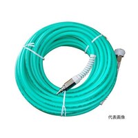 �����G�A�[�z�[�X�@�P�O���@���U�W�S�P�U�P