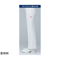 �J���S�C�{�g���X�@�P�@�o�j���@�T�k�@�t�p